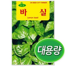 대용량 바질 씨앗 100g 허브씨앗 바실씨앗 (C327)