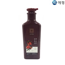 애경 동의홍삼 동백샴푸 500ml, 2개