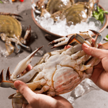 바다온담 연평도 꽃게 냉동꽃게 암꽃게 국산꽃게 1kg, 연평도 숫꽃게 대사이즈 1kg (2~3미), 1개