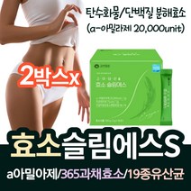 a아밀라아제 20000unit 역가수치 높은 아밀라제 발효 곡물효소 아밀아제 탄수화물 분해 과채 효소 19종 유산균 인절미 분말 발효효소 속편한 효소제품 누룽지맛 맛있는효소 추천, 2박스(120포/4개월분)