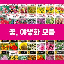 꽃씨 씨앗 제라늄 물망초 연꽃 백일홍 구절초 수레국화 버베나 다알리아 천일홍 핑크메밀 키우기, 1.겹꽃봉선화