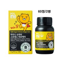 일동제약 마이니 스트레스 피로 케어 수험생 남성 피로회복제 피로회복 영양제 고농축 비타민B 비타민비 군 홍경천 추출물 효능 추천, 60정x2개, 병포장 700mgx60정2병
