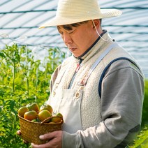 [산지직송] 부산 대저 짭짤이 토마토 농협인증, 짭짤이토마토(3S) 1.5Kg, 1개
