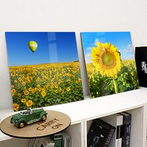 꾸밈 ck208-아크릴액자아크릴액자행복한해바라기 액자, 4.행복한해바라기-열기구