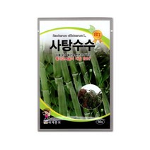 모칸도 세계 사탕수수 씨앗 50립, 1개