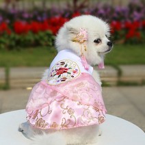 강아지 드레스 원피스 봄과 여름 애완 동물 귀여운 스커트 고양이 공주 한복 의류 사랑스러운 개, [03] A3
