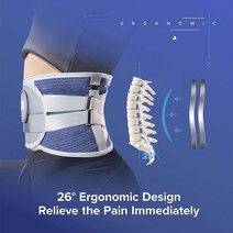 허리 파워 보호대 고관절 헬스 복압 벨트 3개의 교체 가능한 허리 패드가있는 받침대 벨트 지원 트레이너, 2L