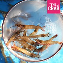 더꽃게 국내산 양식 대하 생물새우 1kg, 1box, 특대 1kg (20미전후/나란히)