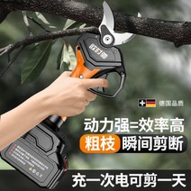 전동 가지치기 전자 가위 꽃 조경 원예 톱 충전 나무 충전식 정원 리튬, 6cm 블레이드 2개
