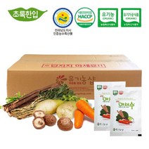 유기농 생생 야채수 110ml 90포+10포 실속포장 멀티비타민 식이섬유 나이나신 단백질 아연 칼슘 자연주의 국내산 유기농 당근 무우청 우엉 표고버섯 친환경 건강야채수 인증