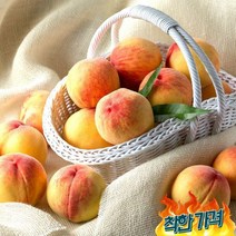 [산지직송]고당도 말랑이 털복숭아 2kg 중대과(9-11과)