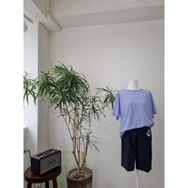 ELLE 학생복 3장 세트 단체복 반티 라운드 티셔츠 100% 폴리원단 무지 컬러 여름 반팔티 기능성소재 1+1+1