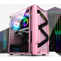 컴퓨터 수냉식 본체 특이한 PC 케이스 BJ 유튜버 다나와 조립 게이밍 LA-000031223