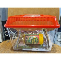 아쿠아홀릭스 심플 달팽이 사육 세트 육지달팽이 키우기 방과후생명과학 자연관찰 아이들교육