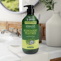 애경 케라시스 로즈마리 티트리 두피 케어 샴푸 800ml, 1개