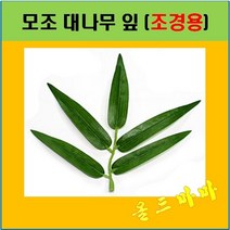 Y1/모조 대나무 잎-24개(1pack) /조경용, 상세페이지 참조
