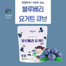 아기요거트큐브11개월 집어먹는 동결건조 사과 블루베리 플레인 딸기요거트큐브 올바름, 블루베리요거트큐브