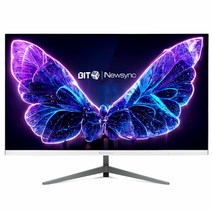 비트엠 Newsync BG249F 게이밍 165 HDR 화이트 일반 모니터