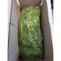 청주 밭미나리 하우스 2kg 미나리농장, 단품