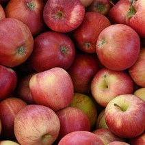 경북 사과 5kg (22과내외)중과, 경북 사과 5kg (25과내외)중소과