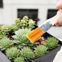 미니온실 식물 수경재배기 스마트팜 7PCS 정원 파종 손 도구 세트 succulents에 대 한 물을 병 브러쉬 삽, 한개옵션0