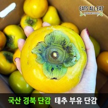 이츠올릿 태추 부유 단감 5kg 10kg 진영 대추 창원 청도 창녕 땡감, 단감 5kg 25~35과