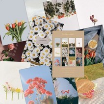 (아쇼핑) 오늘의꽃 엽서 12종 세트감성엽서 엽서 편지지 카드 하늘엽서 (아쇼핑)