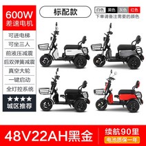 3륜 전기 오토바이 어르신 전동 전동차 2인승 3인승 삼륜 스쿠터, 600W 모터 + 48V22A 블랙골드