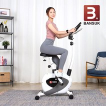 비에스 헬스용품 베이엑스 입식 싸이클