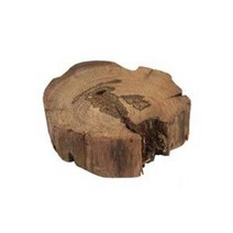 아마존 절단유목(23mm) M 1개 벌크 유목 나뭇가지 모스활착 어항레이아웃