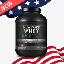 뉴욕웨이 WPI 초코맛 2kg 단백질보충제 헬스보충제 농축유청단백, 1, WPI 2kg + 물통, 본상품선택