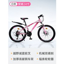 피닉스 초등 광폭자전거 20/22/24 인치, 24인치, 백색 분말 스포크 24d인치(21단)