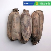 JS컴퍼니 [서안동농협] 씻어나온 세척 연근 특상 2kg, 단일옵션