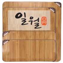 2023년형 일월 온수 전기 매트 장판 1인용 2인용 거실 싱글 전자파차단 침대 홈쇼핑, 일월 초절전 온수카페트매트 중형