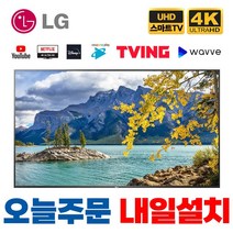 LG전자 65인치 - (약 163cm) UHD 4K LED 스마트 TV 넷플릭스 유튜브 미러링, 서울/경기벽걸이설치