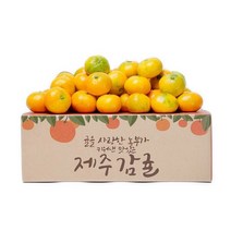 제주 햇 감귤 3kg 로열과, 단품없음