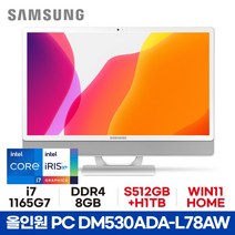 삼성 올인원PC DM530ADA-L78AW - 8GB S512GB+H1TB WIN11 HOME ED