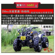atv 비치카 4륜 오프로드 크고 작은 불스 모터사이클 UATV 4구동 산악축 전동 놀이기구 전지형 종신, 황소세트 12 오토매틱 250cc