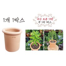 금란의 정원 국산토분 13번 중 1개