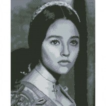 DIY 보석십자수 캔버스형 40X50 올리비아 핫세 집순이 집돌이 취미 비즈, 상세페이지 참조