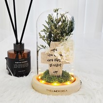더라임코리아 LED 성경 문구 십자가 유리돔 원목 무드등, 혼합색상