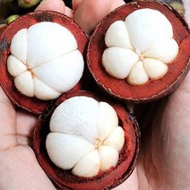 망고스틴 500g-2kg 태국 생망고스틴 항공직송, 1kg
