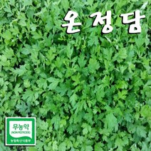 온정담 친환경 데친 쑥 쑥떡용 (냉동쑥), 쑥국용(살짝데침) 450 G x 2개