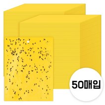 그린스하비 날파리 끈끈이 트랩 스티커형, 50매입