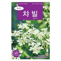 코리안더 씨앗 100립 / 허브씨앗 코리앤더 카모마일씨앗 허브씨 허브 고수씨앗 씨, 12_허브_챠빌(50립)