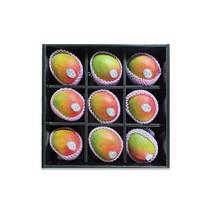 1/12(목)순차출고[봉우리농장] 페루 애플망고 3.6kg 대과 선물세트(9입)