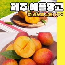 제주 애플 망고 신라호텔 납품 A++, 중과 3kg(13과 내외), 1개