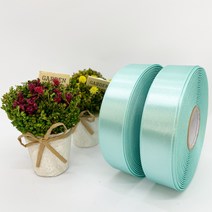 포장 리본 끈 제이제이리본 고밀도주자 45M 2롤 76칼라 (3mm 5mm), 5mm, 박하색