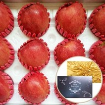 장보리 명절 고급 청송사과 선물세트 5kg (11-13과)