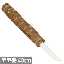 몬스테라 수태봉 코코봉 연결형 식물지지대 지주대 (40cm 50cm 70cm 90cm ), 수태봉 40cm